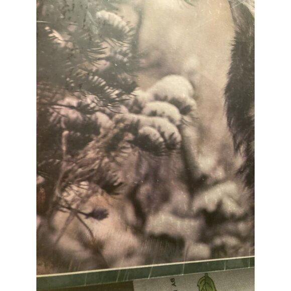 Silver Wolf Over 550 Piece Jigsaw Puzzle Great American Puzzle Factory New! - Picture 3 of 8